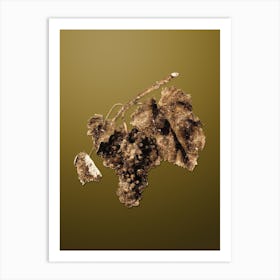 Gold Botanical Black Canaiolo on Dune Yellow n.2770 Art Print