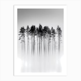 Spruce Forest Art Print