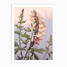 Floral Illustration Aconitum 3 Art Print