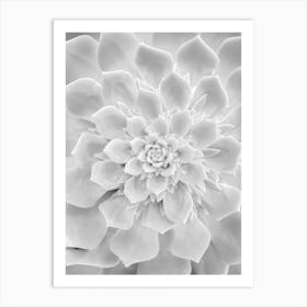 White Cactus Plant Heart Art Print