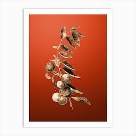 Gold Botanical Chinese Jujube on Tomato Red n.0252 Art Print