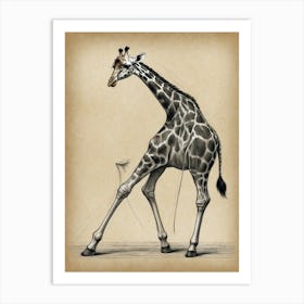 Giraffe 20 Art Print