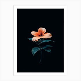 Hibiscus Flower 1 Art Print