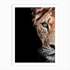 Lion With Blue Eyes Art Print