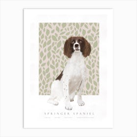 Springer Spaniel Illustration Art Print