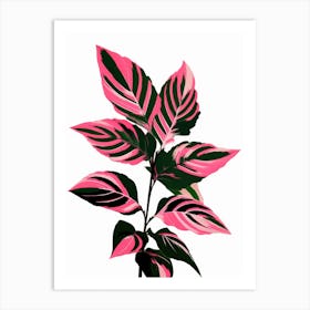 Pink Plant 1 Art Print