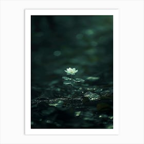 Lotus Flower 58 Art Print