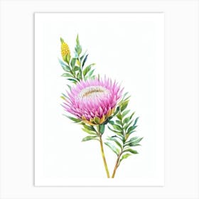 Proteas Watercolour Flower Art Print