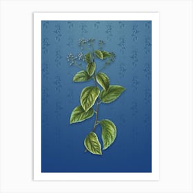 Vintage New Jersey Tea Botanical on Bahama Blue Pattern n.2575 Art Print