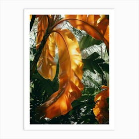 Tropical Leaves 172 Art Print