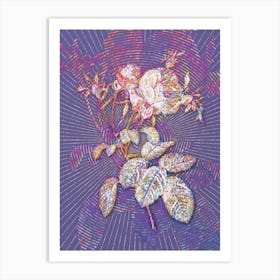Geometric Pink Cabbage Rose de Mai Mosaic Botanical Art on Veri Peri n.0215 Art Print