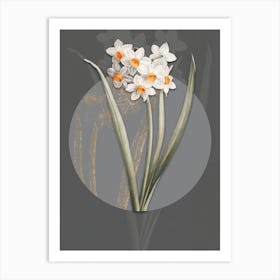 Vintage Botanical Narcissus Easter Flower on Circle Gray on Gray n.0171 Art Print