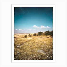 Dartmoor Art Print