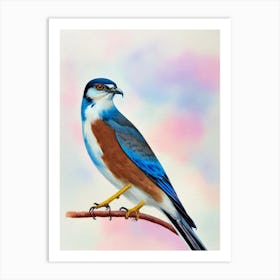 Eurasian Sparrowhawk Watercolour Bird Art Print