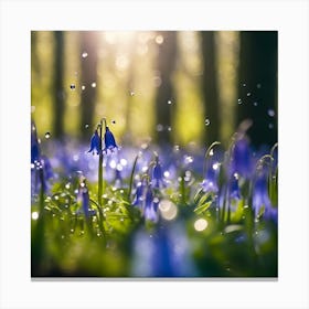 The Bluebell Wood in Springtime Sunshine Canvas Print