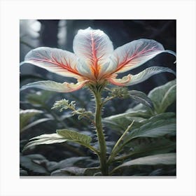 Flora Canvas Print