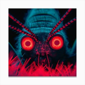 Arachnid 1 Canvas Print