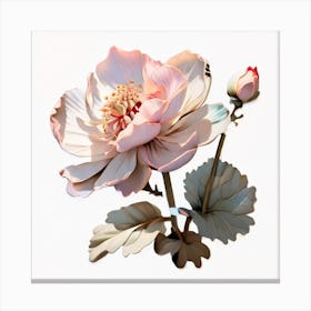 Chinese Flower Canvas Print