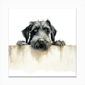 Schnauzer 17 Canvas Print