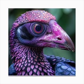 Purple Vulture Canvas Print