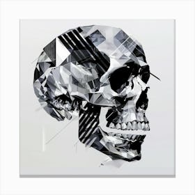 Abstract Skull 4 Canvas Print