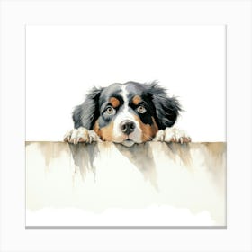 Bernese Mountain Dog 2 Canvas Print