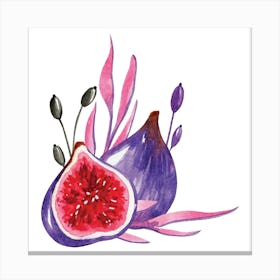 Watercolor Figs Canvas Print