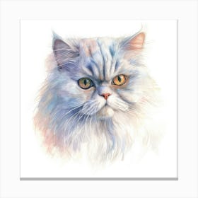 Persian Traditional Cat Portrait Canvas Print