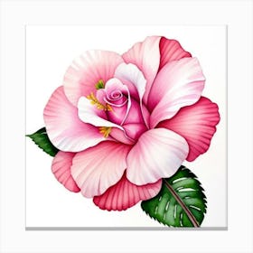 Pink Hibiscus 1 Canvas Print