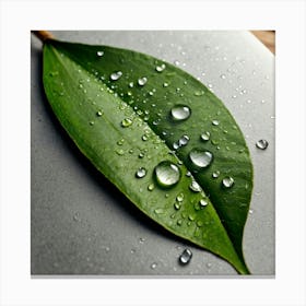 Leaf With Water Droplets Canvas Print