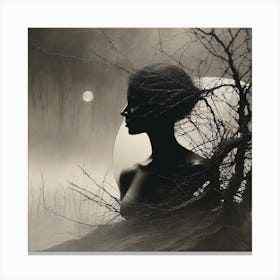 'The Moonlight' Canvas Print