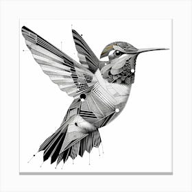 Colibri Fly - Abstract Line Art Illustration 186 Canvas Print