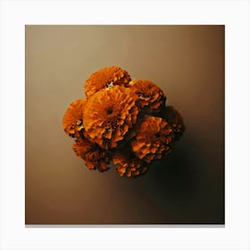 Orange Flowers On A Brown Background Canvas Print