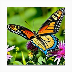 Butterfly On A Flower 5 Canvas Print