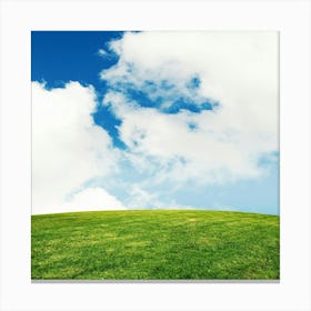 Green Field With Blue Sky And Clouds Canvas Print