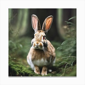 Rabbit In The Forest 139 Canvas Print