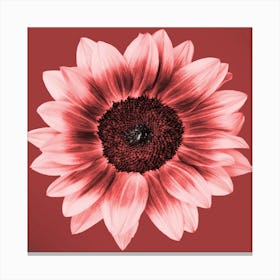 Ceramic Sunflower Square Canvas Print