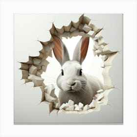 Rabbit Through A Hole 2 Canvas Print