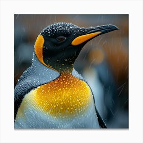 King Penguin 22 Canvas Print