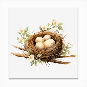 Bird Nest With Eggs Canvas Print