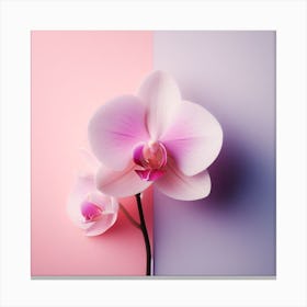 Flower of Orchid 2 Canvas Print