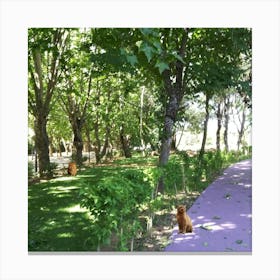 Cat In The Park Canvas Print