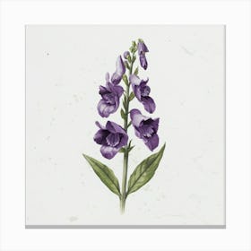 Purple Foxglove Canvas Print