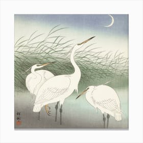 Herons In Shallow Water, Ohara Koson Vintage Japanese Canvas Print