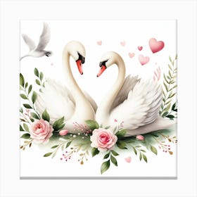 Pair of swans 3 Canvas Print