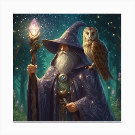 Wizard With Owl Canvas Print