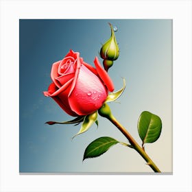 Rose 2 Canvas Print