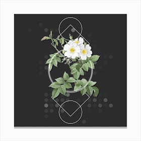 Vintage White Rosebush Botanical with Geometric Line Motif and Dot Pattern n.0163 Canvas Print