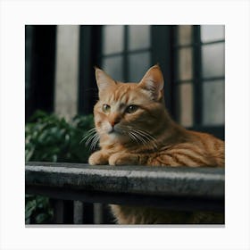 Cat On Railing Canvas Print