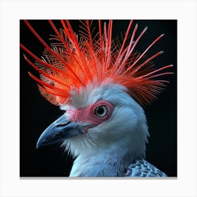 Horned Cockatoo Canvas Print